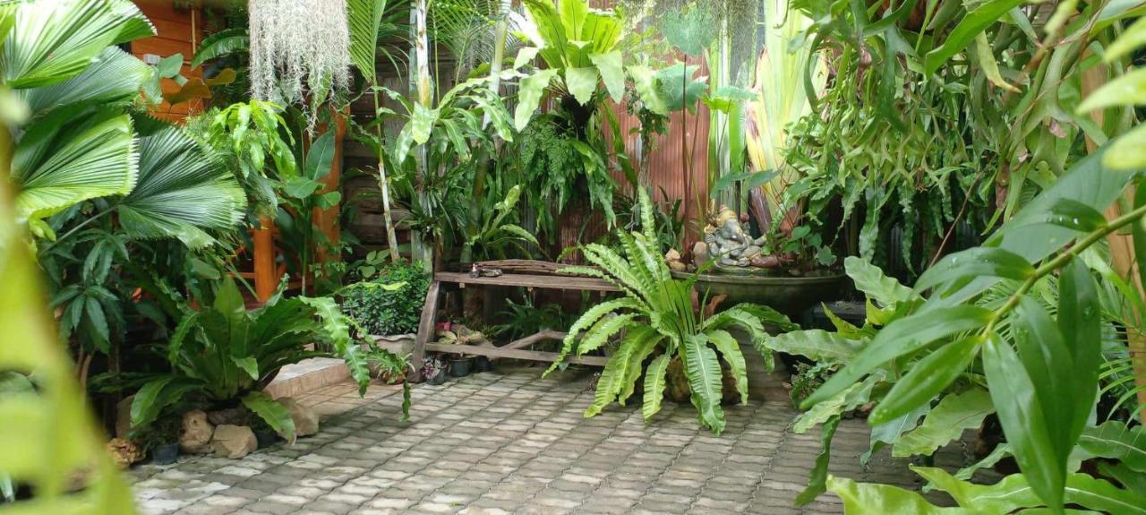 Ouychai Resort Home Stay Chiang Mai Extérieur photo