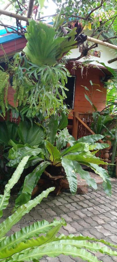 Ouychai Resort Home Stay Chiang Mai Extérieur photo